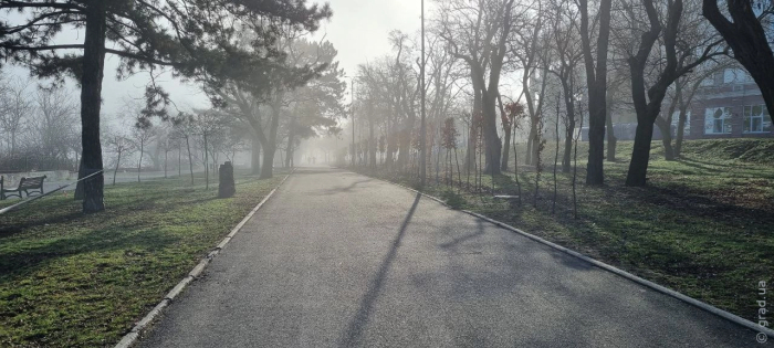 погода на 14 ноября