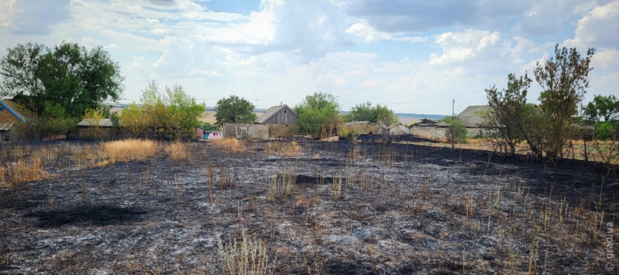 пожар в экосистеме