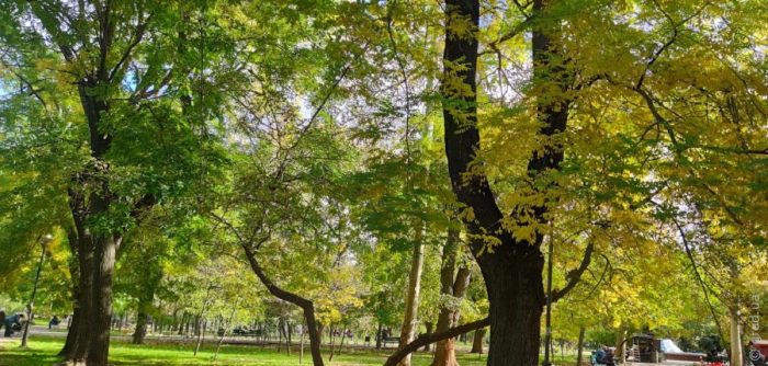 погода в Одессе на 8 ноября