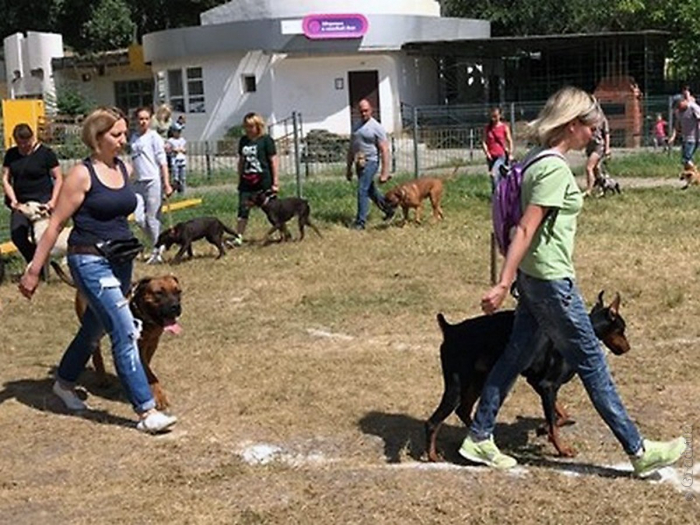 На Крымском бульваре появилась  площадка для выгула и дрессировки собак