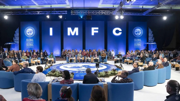 Всегда ли стоит слушать МВФ?
