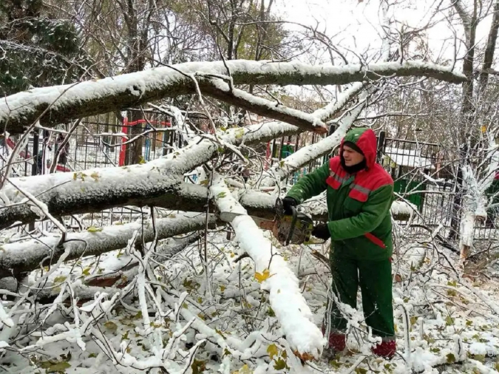 В Одессе в результате стихии повалено предварительно 267 деревьев и 88 веток