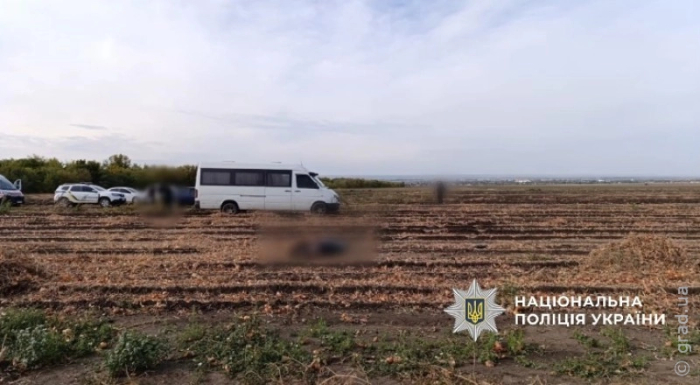 ДТП в Беляевке