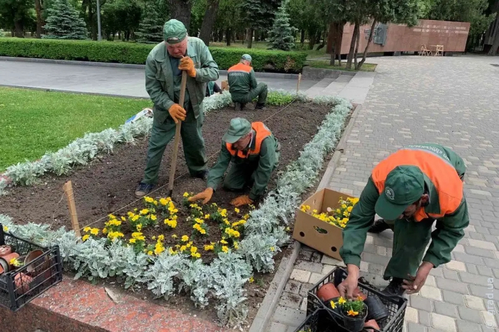 Озеленение Одессы: яркие цветочные композиции украшают город