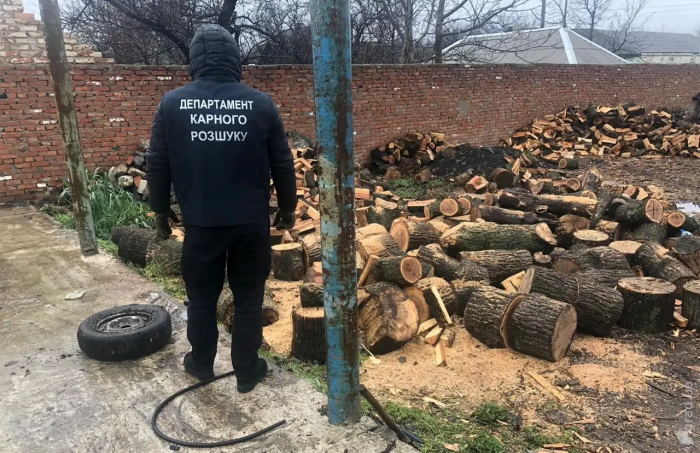 На Одещині затримали злочинну групу, яка займалася порубкою та збутом лісоматеріалів