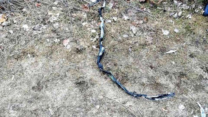 В Южном воры похитили полтора километра телефонного кабеля