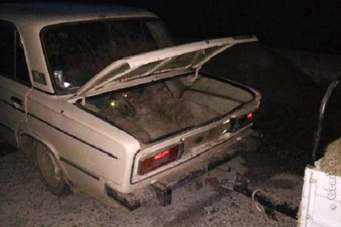 Трое жителей Одесской области украли отару овец