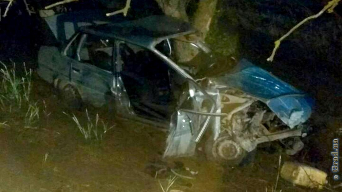 В Одесской области иномарка слетела с дороги: водитель погиб