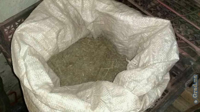 Полкилограмма марихуаны обнаружено у жителя Одесской области