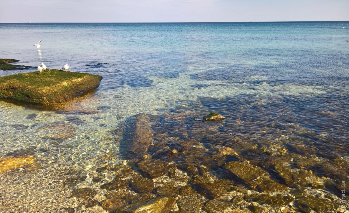 Черное море в Одессе