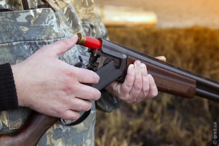 В Одесской области браконьеры застрелили молодую лань