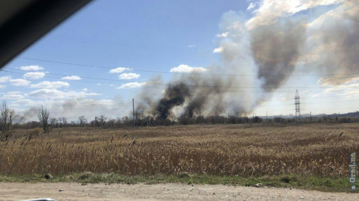 В Одессе – очередной пожар на открытой территории