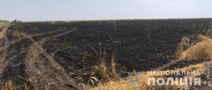 В Одесской области горело поле пшеницы