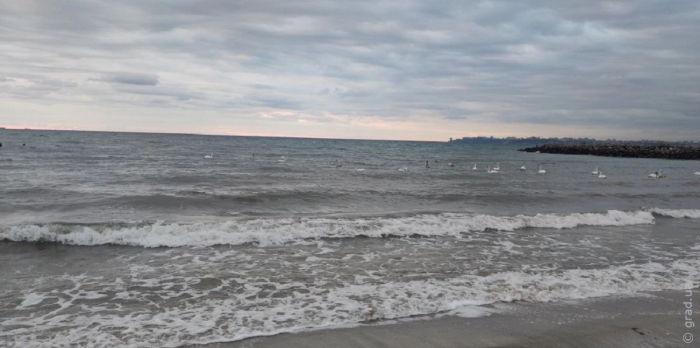 погода в Одессе 4 ноября