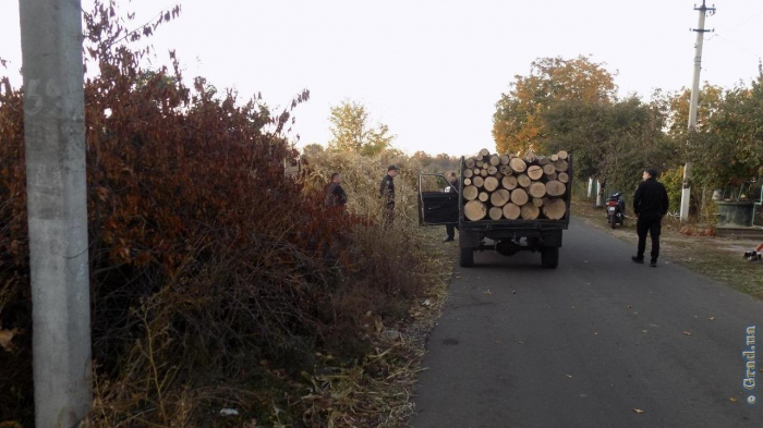 Дрова неизвестного происхождения: полиция остановила два грузовика