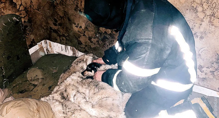 Одесские пожарные спасли из огня собаку