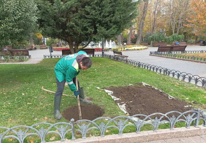 озеленение Одессы