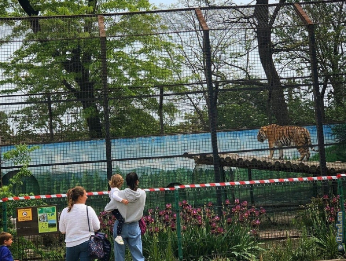 Одесский зоопарк встречает гостей после карантина