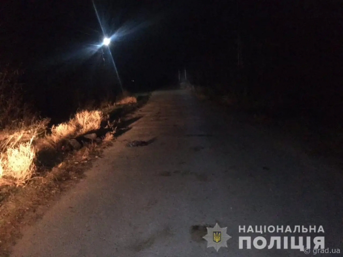 Под Одессой разыскивают водителя – участника смертельного ДТП