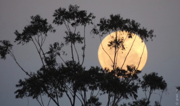 Суперлуние