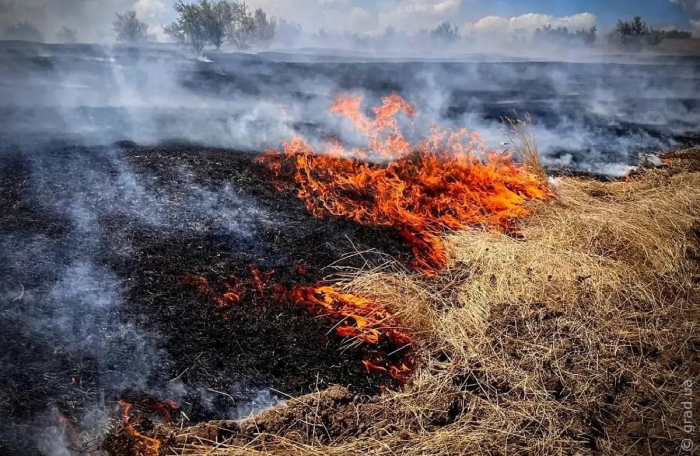 Пожар под Одессой нанес ущерб экологии на миллионы