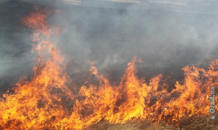 В Савранском районе спасли от огня кукурузное поле