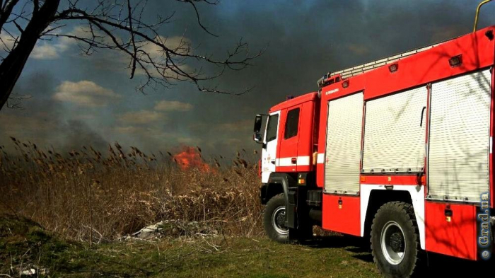 Одесские спасатели призывают не провоцировать пожары в экосистемах
