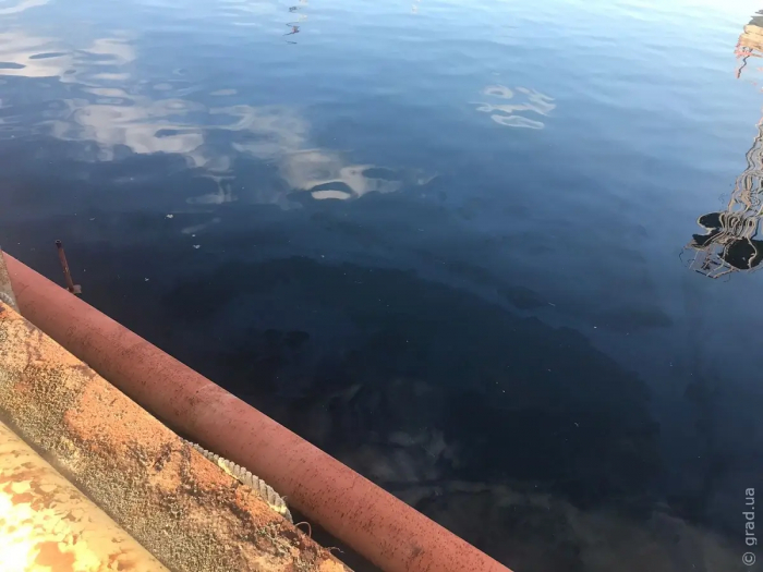 Через витік нафти з судна сталося забруднення Сухого Лиману