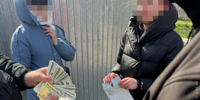 задержание чиновницы
