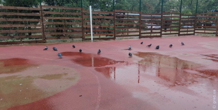 погода в Одессе 30 сентября