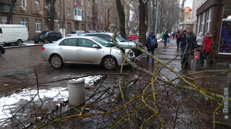 Не повредит одесса. Падение ветки на машину. Одесса ветка. Град сломанные ветки на машинах фото.