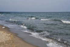 Відвідувати пляжі Одеси – заборонено!