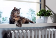 отопительный сезон