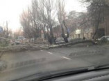 Упавшее дерево заблокировало движение на  Пересыпи (фото,видео)