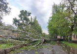 коммунальщики устраняют последствия непогоды в Одессе