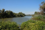 Чоловік потонув у річці на Одещині