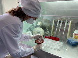 В одесской больнице №10 выявлены новые случаи коронавируса