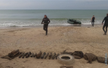 Со дна Черного моря спасатели достают боеприпасы времен войны