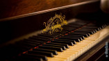 Одесский Дом-Музей имени Н. К. Рериха приглашает на концерт фортепианной музыки