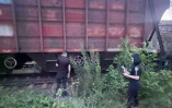 девочка получила удар электротоком