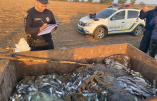 Рыбалка на 2 миллиона гривен: в Одесской области задержали браконьеров