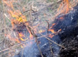 Под Одессой горела трава, пострадал пенсионер