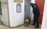 Одесские правоохранители провели беспокойный вечер