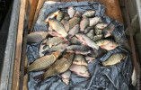 На озере Ялпуг поймали рыбных браконьеров
