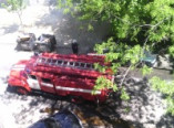 В центре Одессы горело дерево (фото)