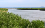 Засуха: на юге Одесской области мелеют озера