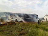 Под Одессой спасены от пожара зерновые склады (фото)