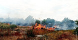 Два гектара сухой травы сгорело в Одесской области
