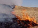 В Одесской области сохраняется чрезвычайная пожарная опасность