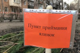 С первого дня нового года в Одессе начнут работать пункты приема елок